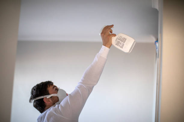 Attic Mold Removal in Montvale, NJ