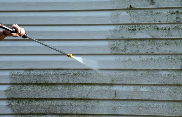 Best Mold Damage Repair  in Montvale, NJ