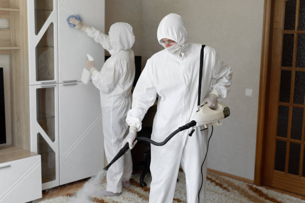 Best Mold Removal Specialists  in Montvale, NJ